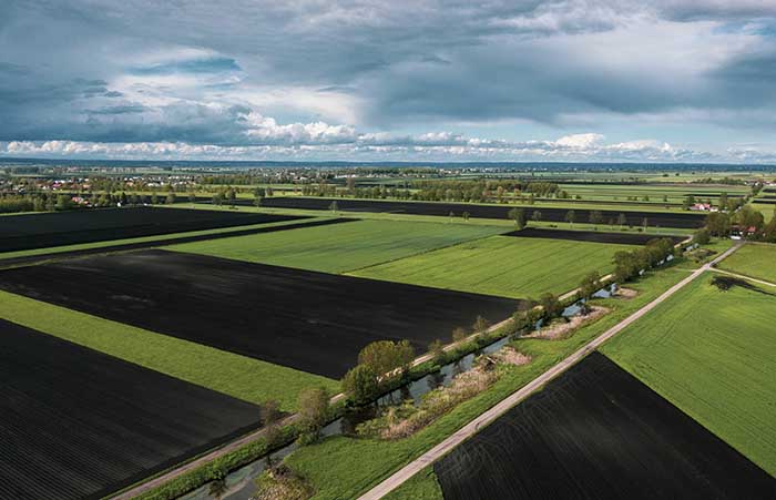 Peatland protection through climate certificates: Study funded by the Audi Environmental Foundation and LEADER* highlights opportunities for the Donaumoos