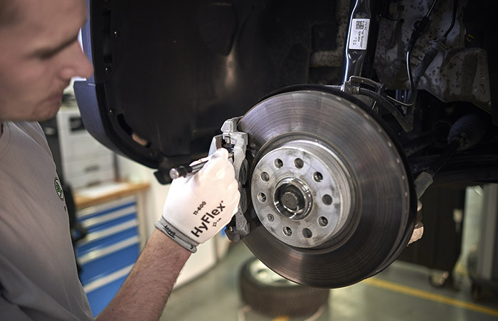 HOW DO BRAKES LEARN HOW TO BRAKE HOW DO BRAKES LEARN HOW TO BRAKE